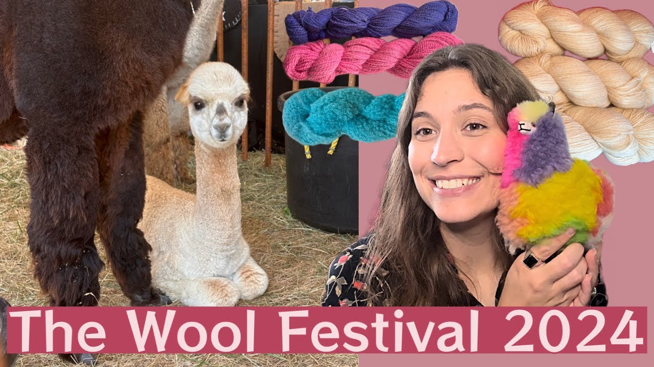 My Trip to the Local Wool Festival 💸