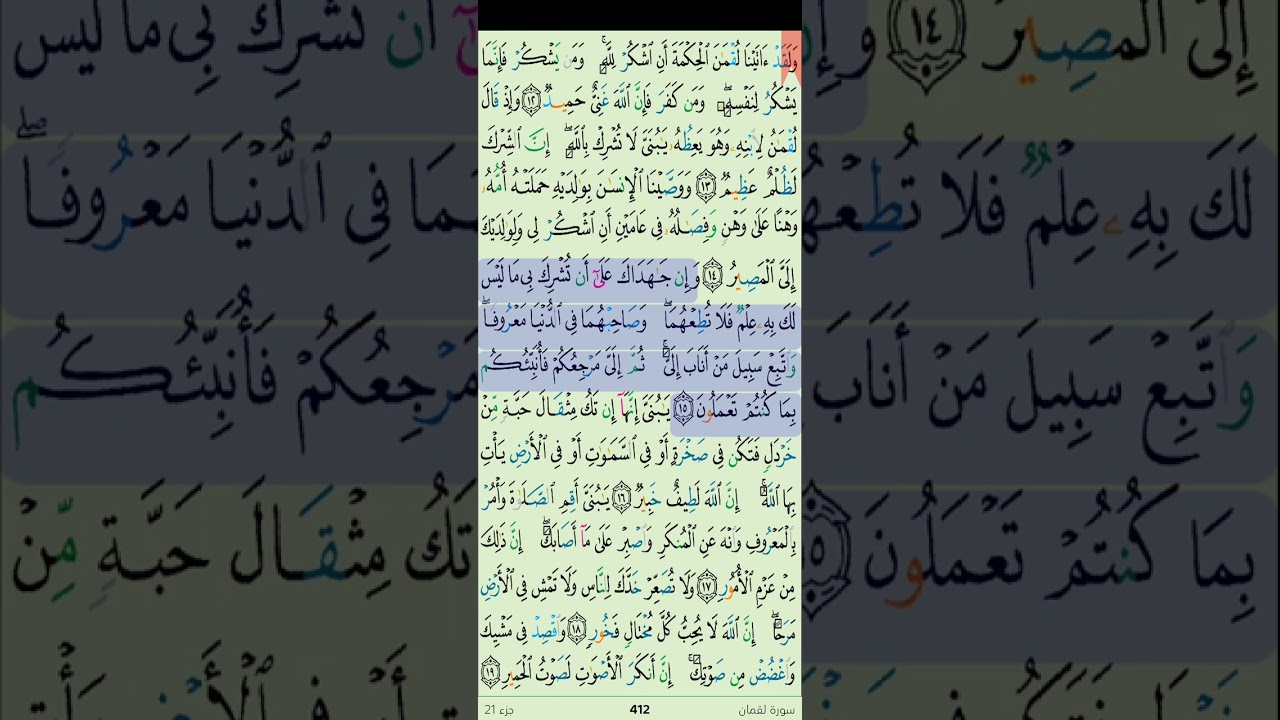 🌿 تلاوة خاشعة من سورة لقمان كاملة | راحة نفسية وسكينة للقلب ✨ #قرآن #تلاوة_خاشعة #اشتراك ##إعجاب