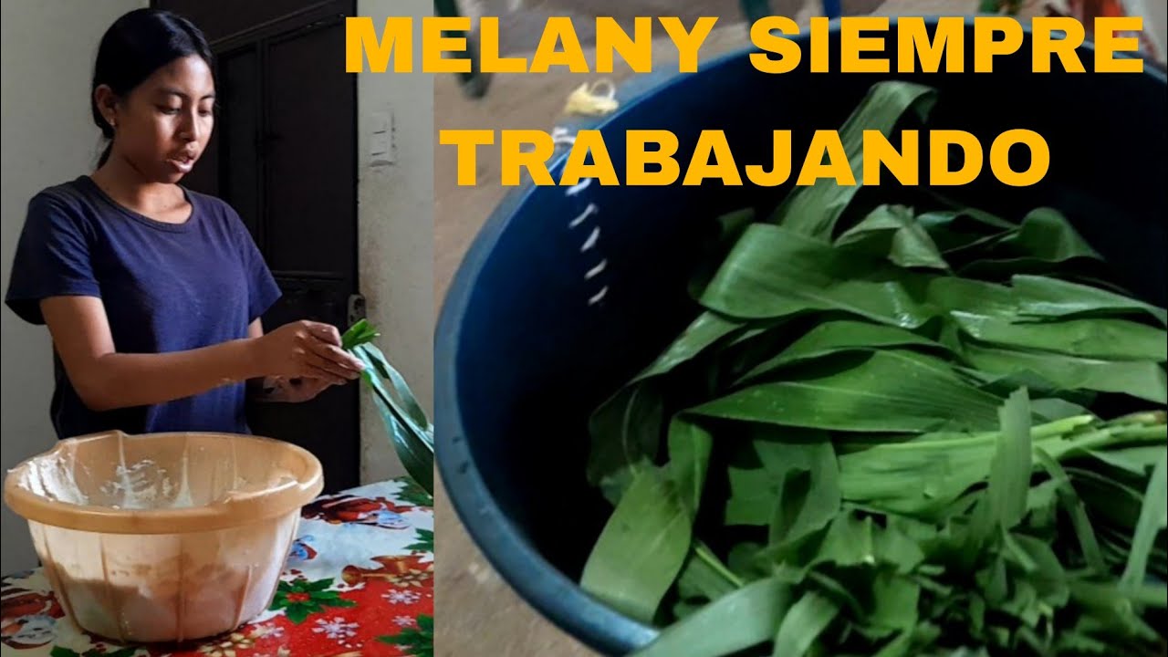 MELANY LES MUESTRA COMO SE HACE ESTOS TAMALITOS ENBUELTOS DE HOJA DE MILPA MIRENLO ASTA EL FINAL 😱😱