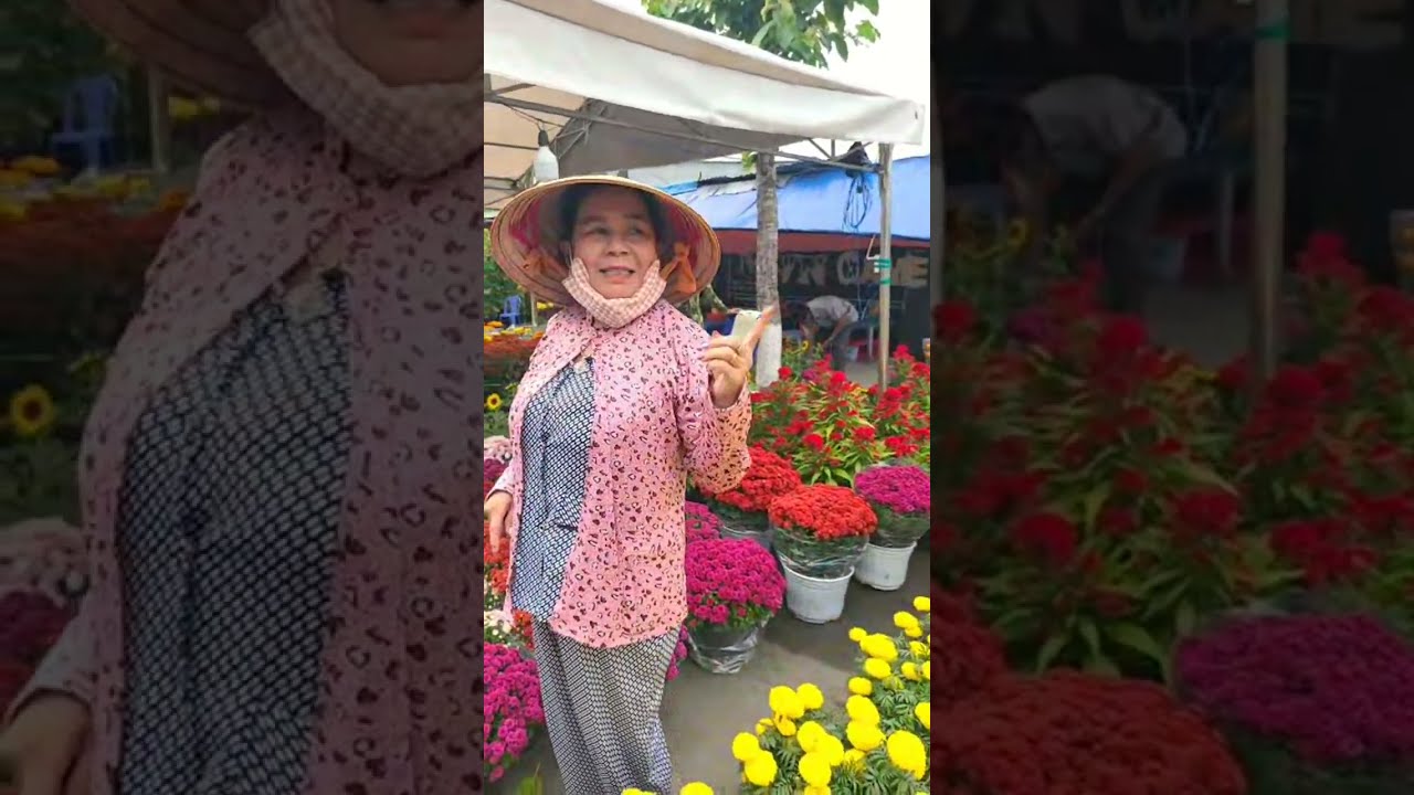 Quốc Thịnh Vlog đang phát trực tiếp!