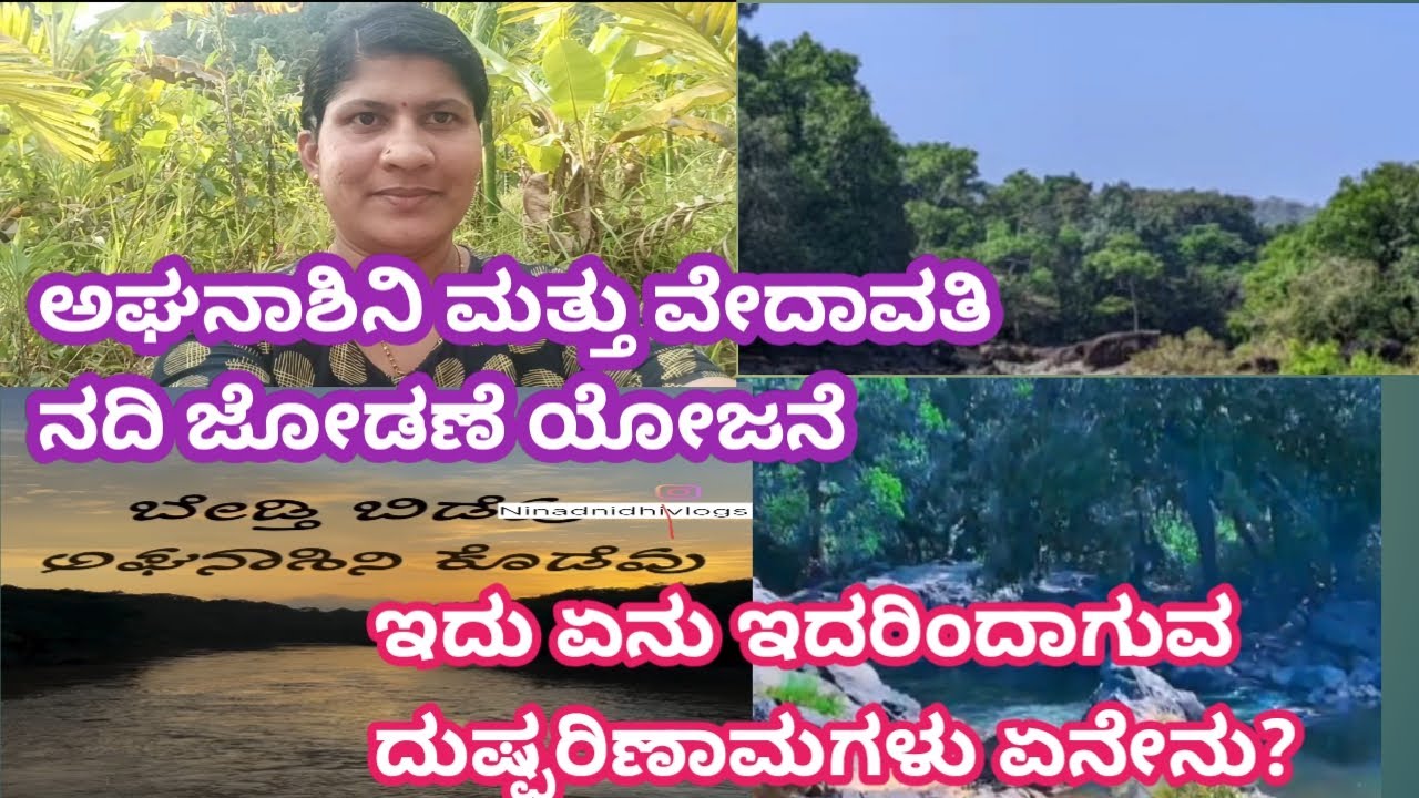 ಅಘನಾಶಿನಿ ಮತ್ತು ವೇದಾವತಿ ನದಿ ಜೋಡಣೆ ಯೋಜನೆ/ಇದು ಏನು ಹಾಗೆ ಇದರಿಂದಾಗುವ ದುಷ್ಪರಿಣಾಮಗಳು ಏನೇನು/save Aghanashini