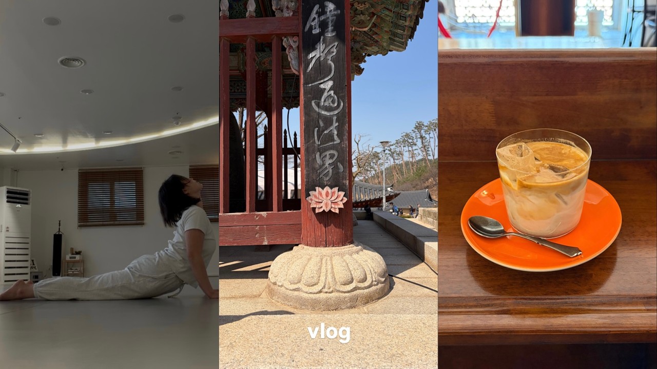 vlog. 3월 일상. 요가하고 몸 회복하고. 라이언 베이커&bull;구파발역 탕면&bull;YM 커피 프로젝트&bull;진관사