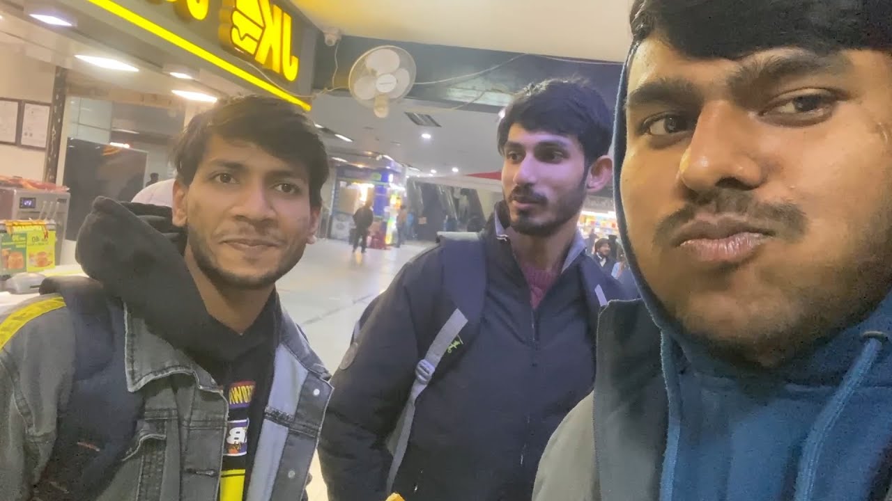 Delhi Morning to Evening | Cows, Metro, Office & Egg Rolls
