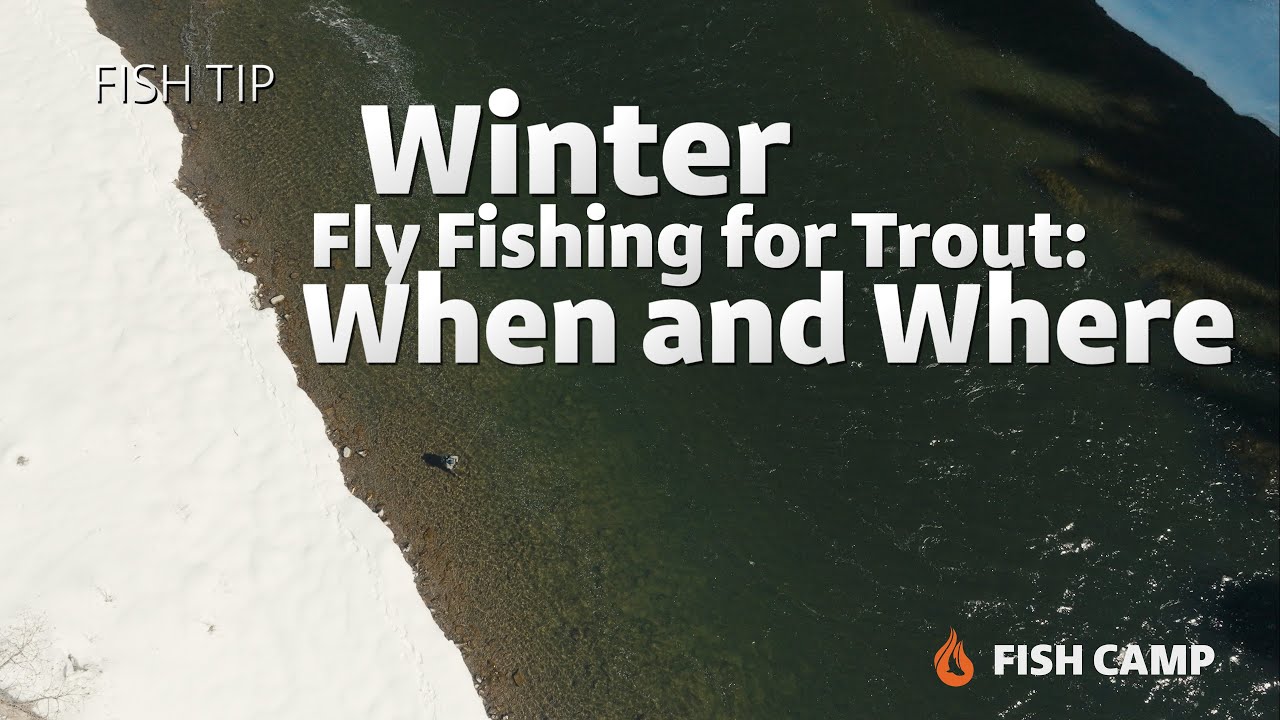 Ideal Holding Water and Times of Day When Fly Fishing for Trout in the Winter