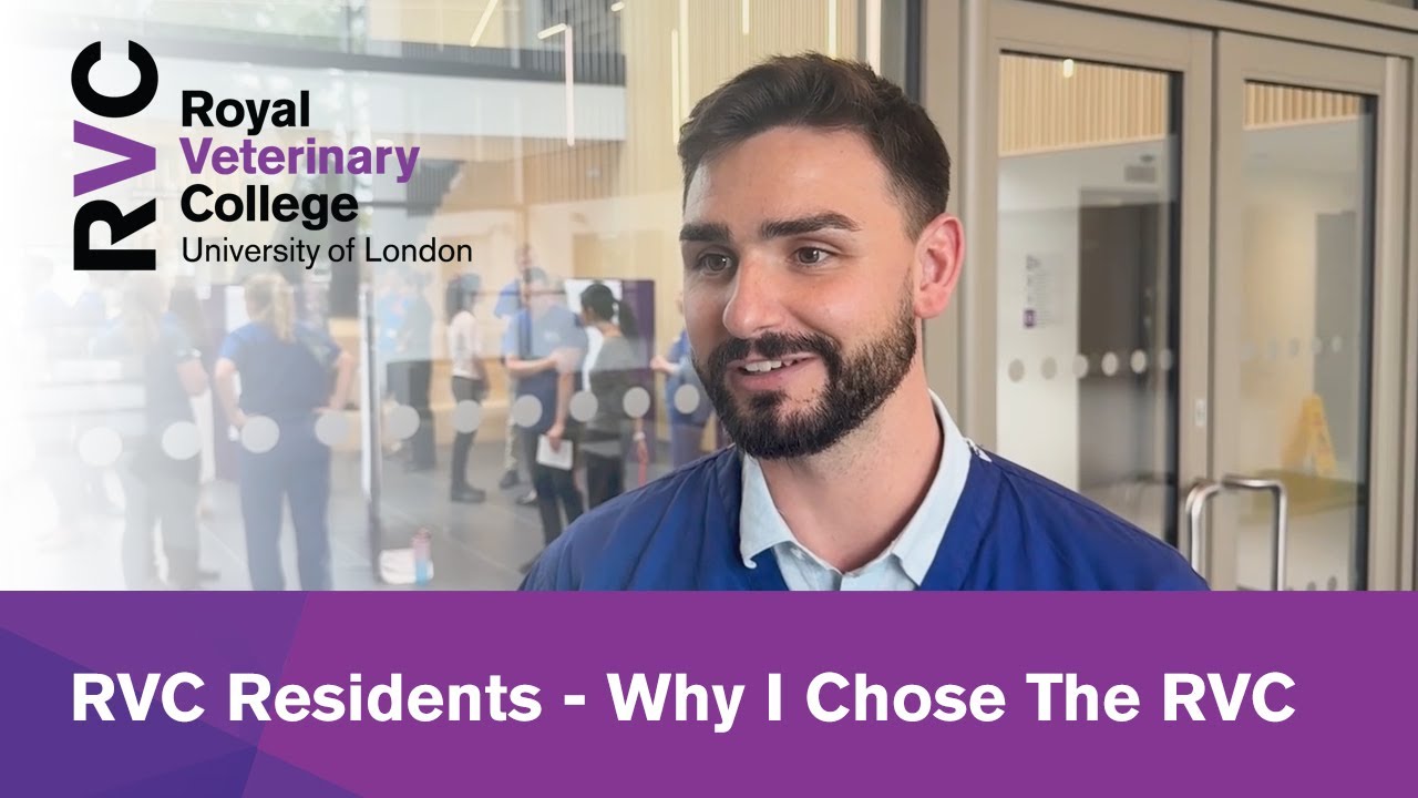 RVC Residents - Why I Chose The RVC