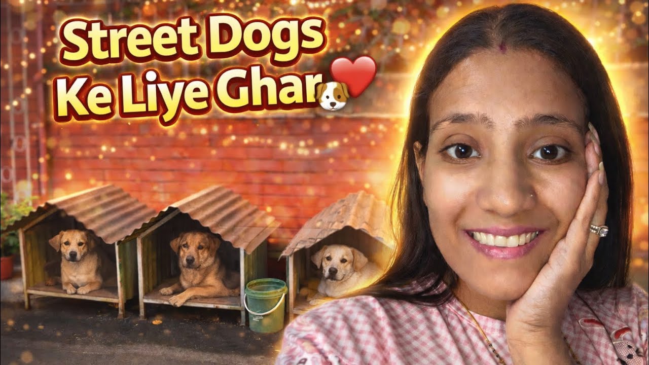 “Kya Aaj Bhi Log Street Dogs Ke Liye Itna Karte Hai? 🥹🐾”