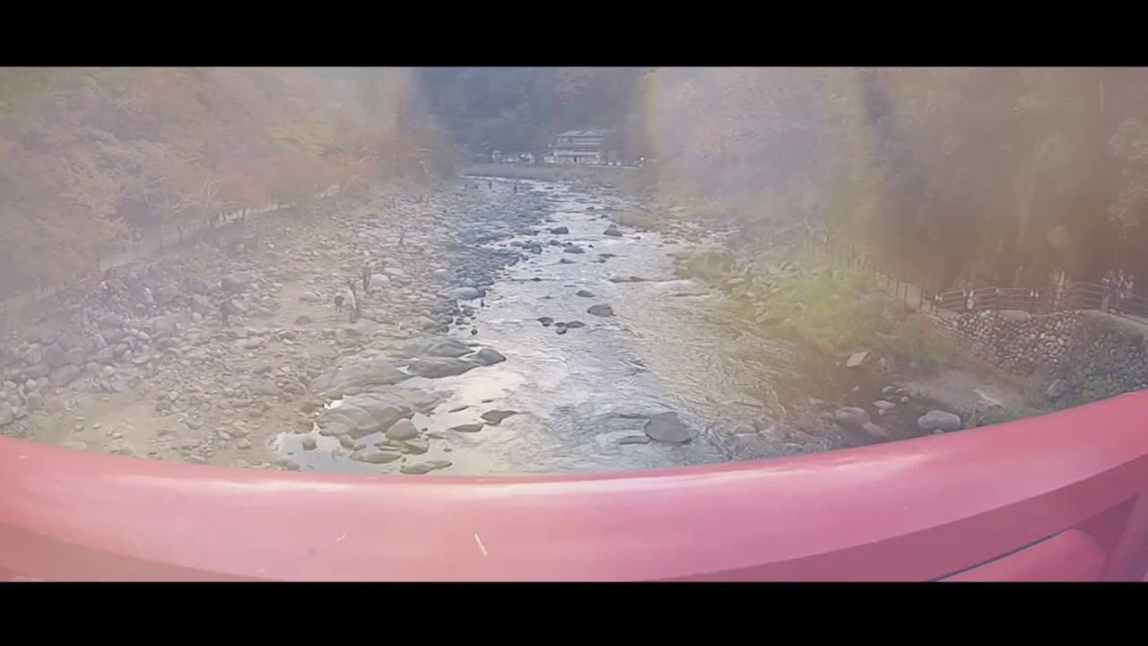 From Obara Shikizakura To Korankei (香嵐渓)