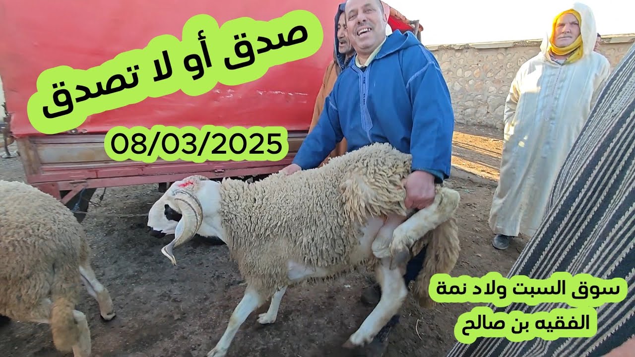صدق أو لاتصدق أجي تشوف ثمن الحولي والحولية من سوق السبت ولاد نمة  #مواشي #اكسبلور  08/03/2025