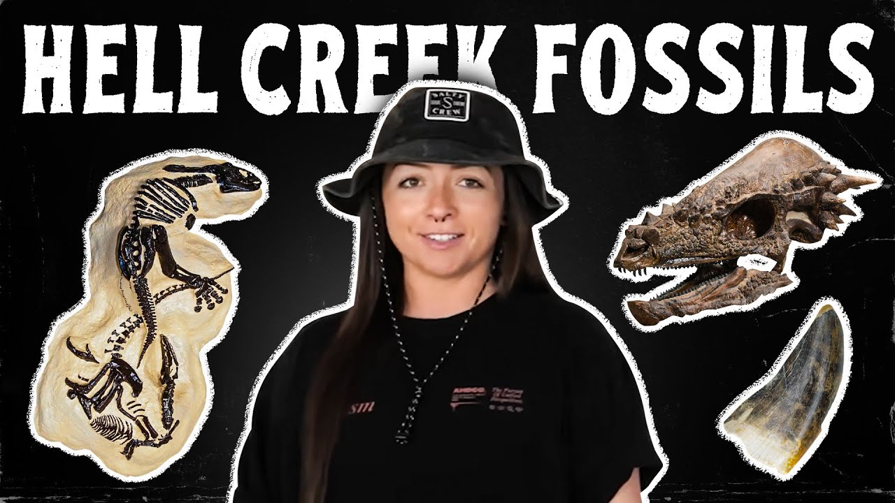 COOLEST FOSSIL SITE (ft. Hell Creek Hooligans) FOSSIL HUNTING IELD TRIP | Lindsay Nikole