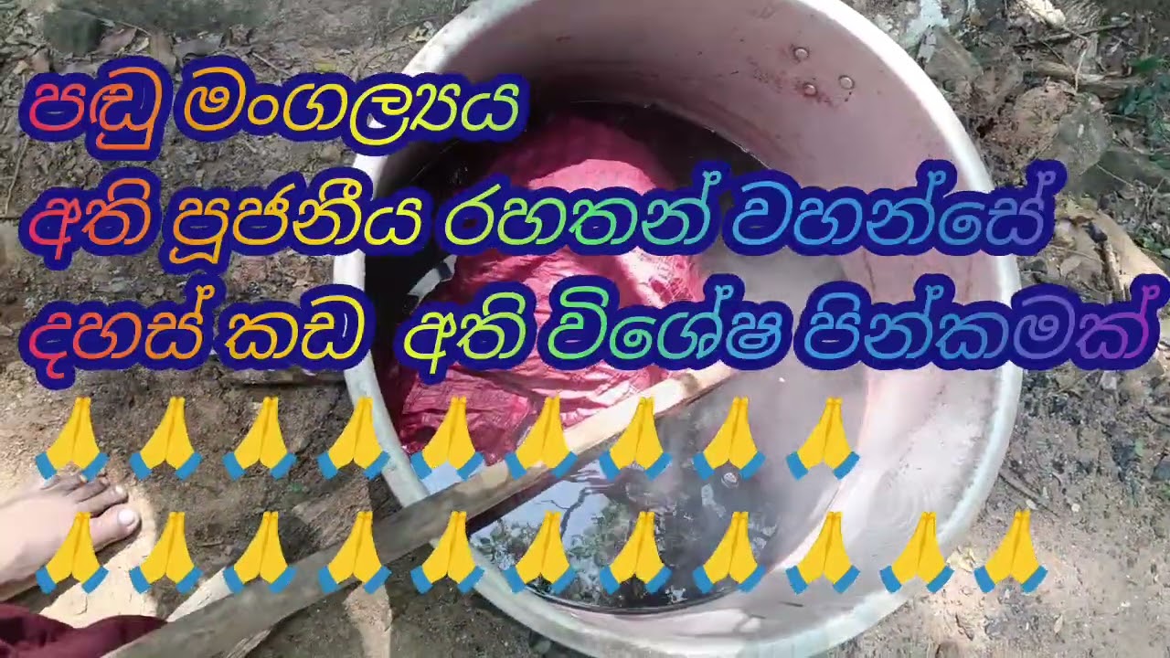 පඬු මංගල්‍යය දහස් කඩ චීවරය රහතන් වහන්සේ  පමණි  අති විශේෂ දේශනාවක් | Padu mangalya