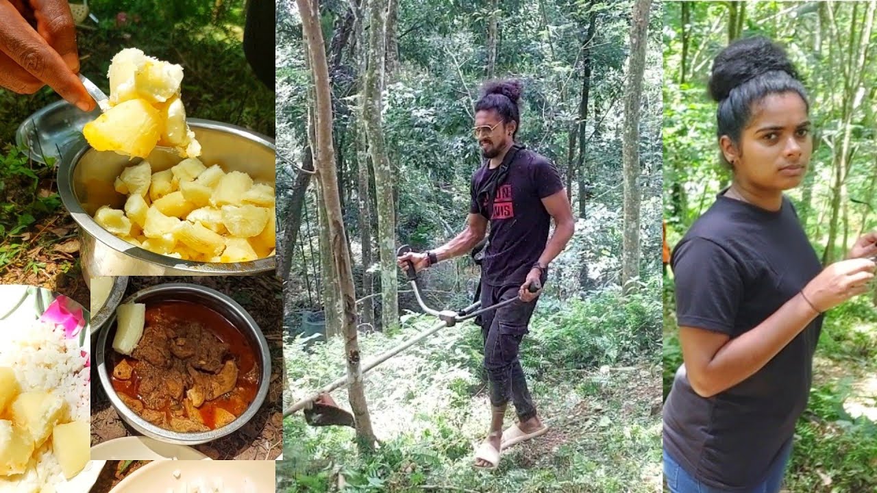 കാട് വെട്ട്, ചിക്കൻ,മരച്ചീനി, ചിഞ്ചു 😂😂😂