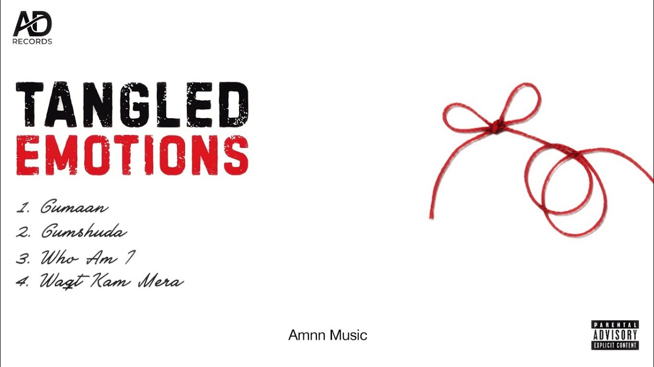 Amnn Music - Who Am I - Tangled Emotions | Offical Audio 