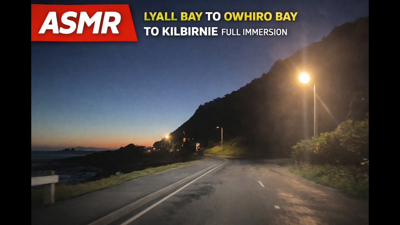 Lyall Bay to Owhiro Bay to Kilbirnie | ASMR Driving at Night | Coastal Driving