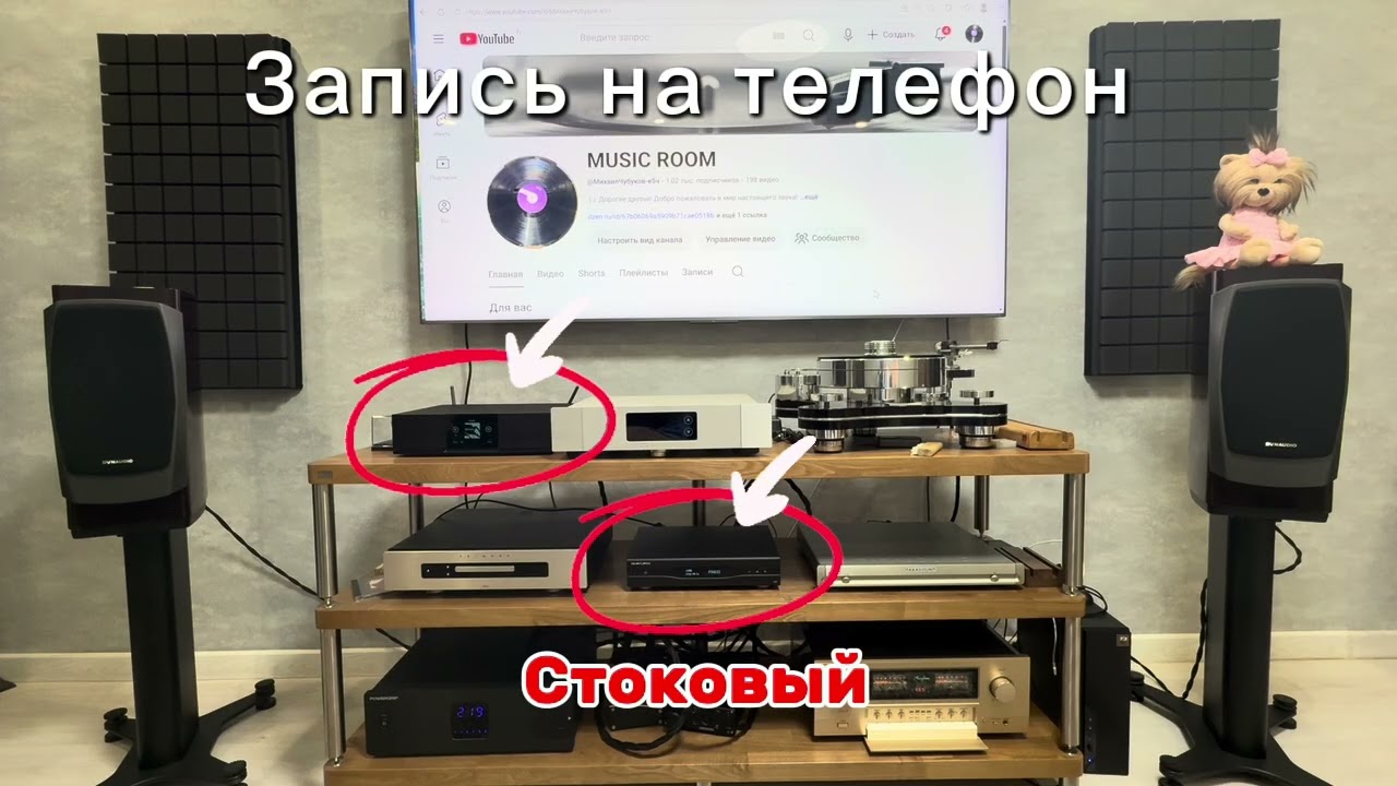 ☺️⚡️Жду новую акустику | ТЕСТ Сравнение USB кабеля #WireWorld #PlatinumStarlight 8 VS стоковый 