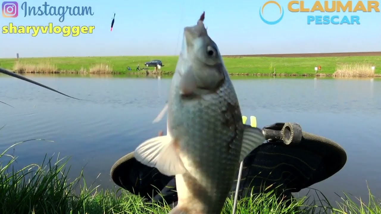 PESCUIT LA CRAP SI CARAS CU UNDITA SI CU LANSETE BATRANE 12KG PESTE