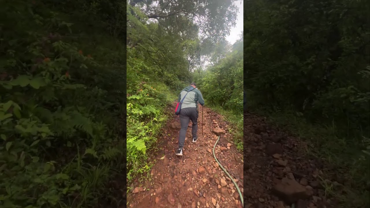 Netravati Trek unexpected expedition 🚶🏻&zwj;♂️🚶🏻&zwj;♂️🚶🏻&zwj;♂️🏔️#trekking #netravati #lifegoals &hearts;️