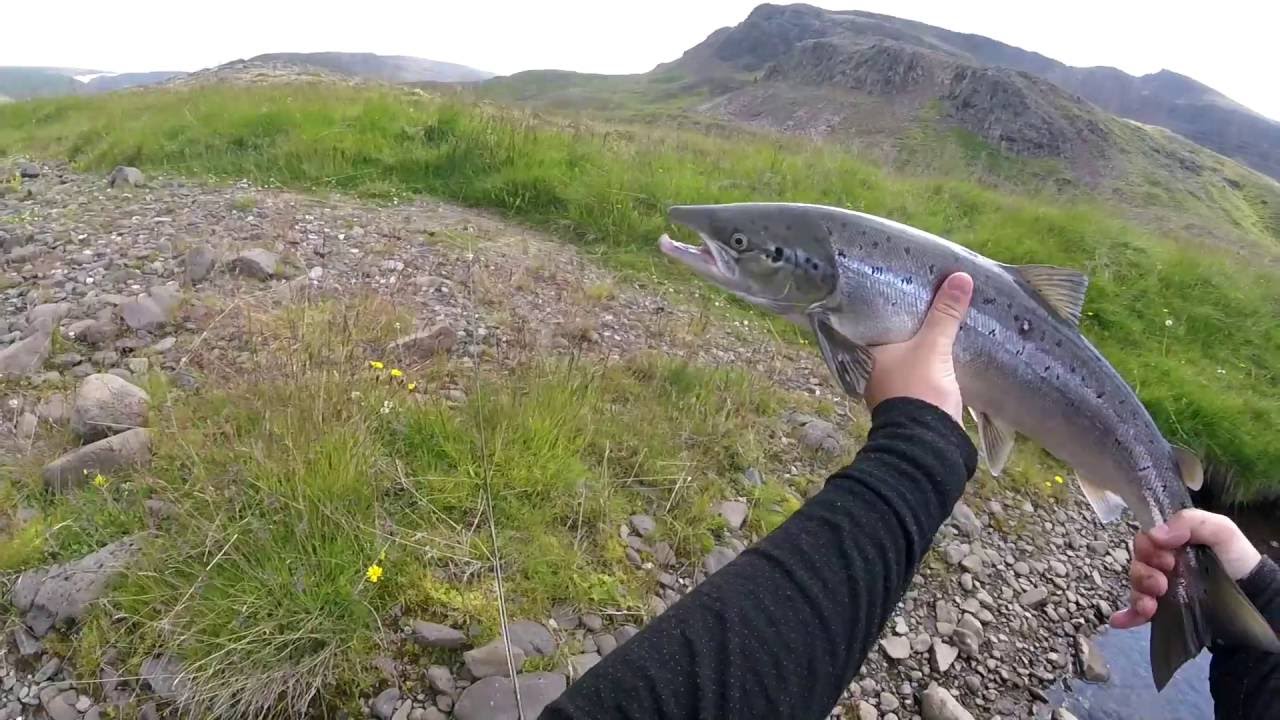 Efri-Haukadalsá