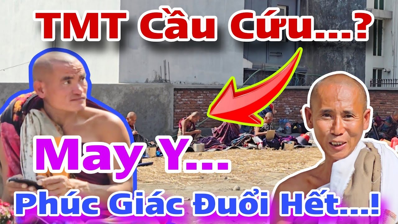 Phúc Giác Đuổi Hết...TMT Cầu Cứu Khi Đoàn Lên Đến 37 sư nhỏ...!  Rời Đi Hay Ở Lại