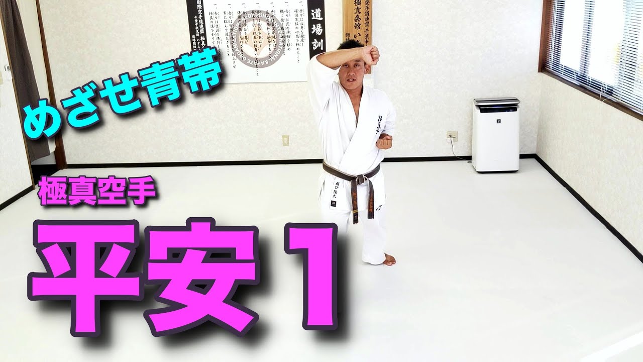 平安その１[極真空手]　いすみ道場空手講座　めざせ青帯！