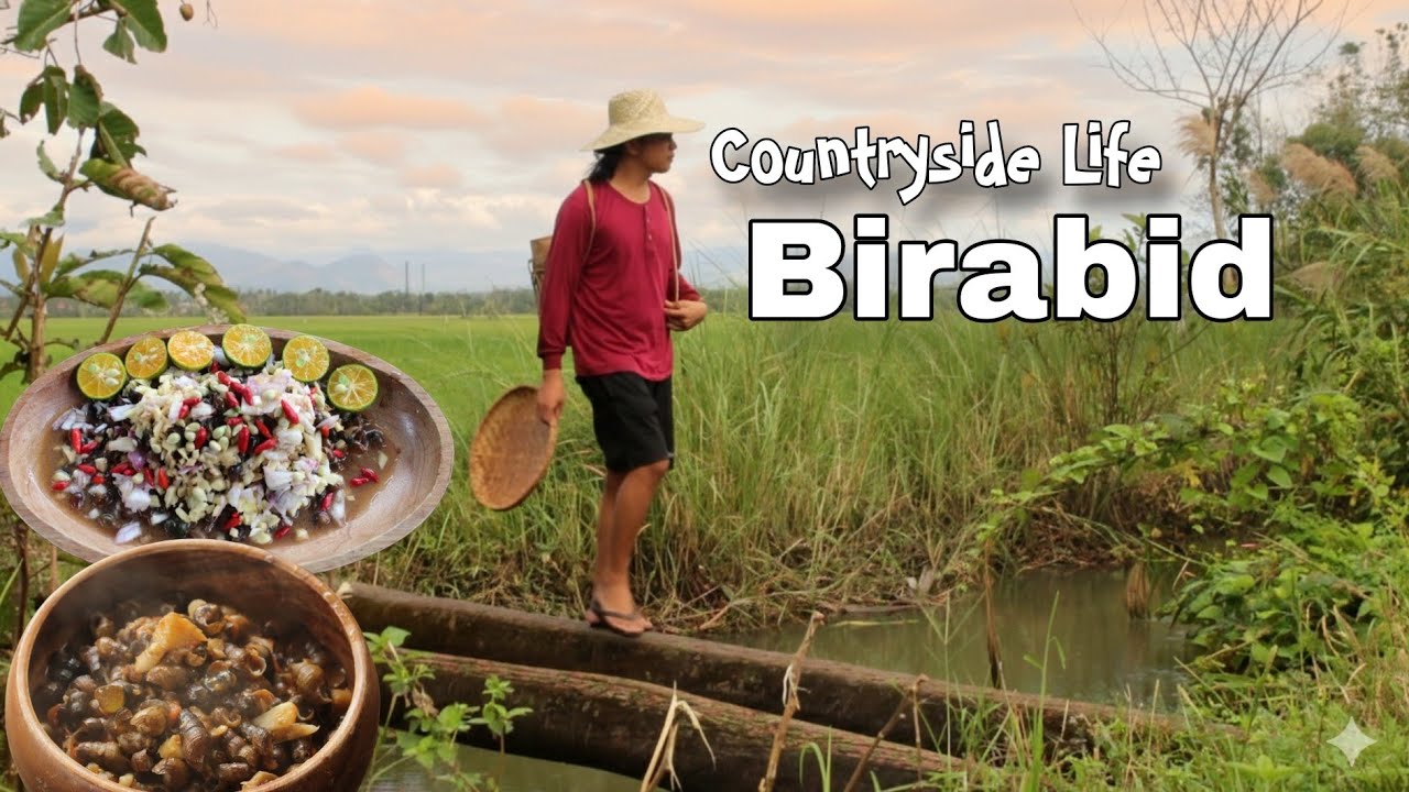 Life in Countryside Picking Snail | Buhay Probinsya 