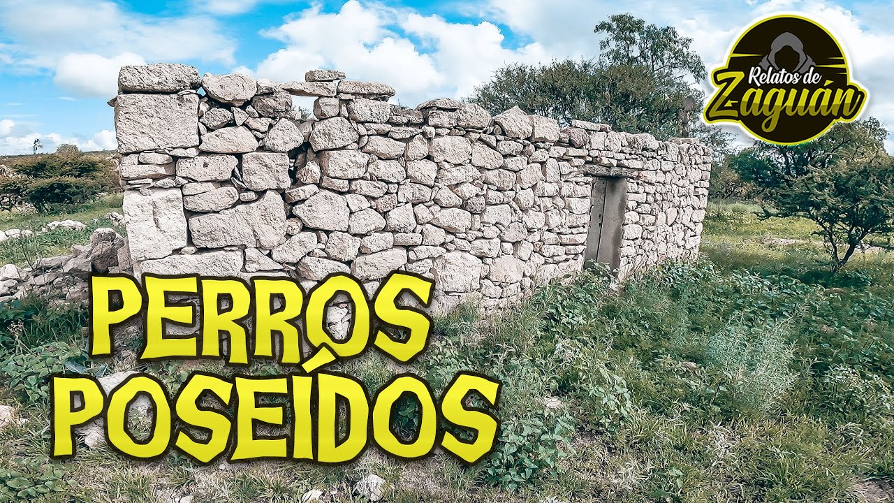 UN FANTASMA Se LLEVÓ MANADA DE PERROS !!