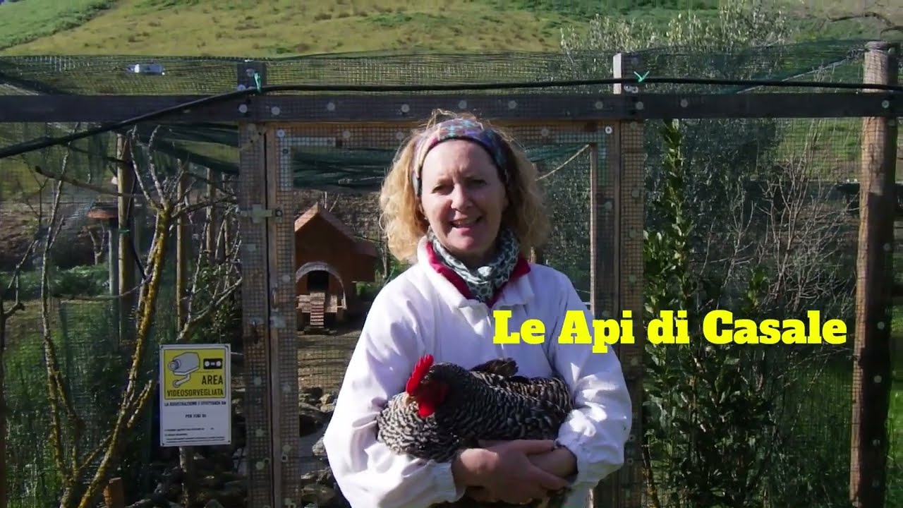 Prevenire sciamatura, forse......20 giorni dopo