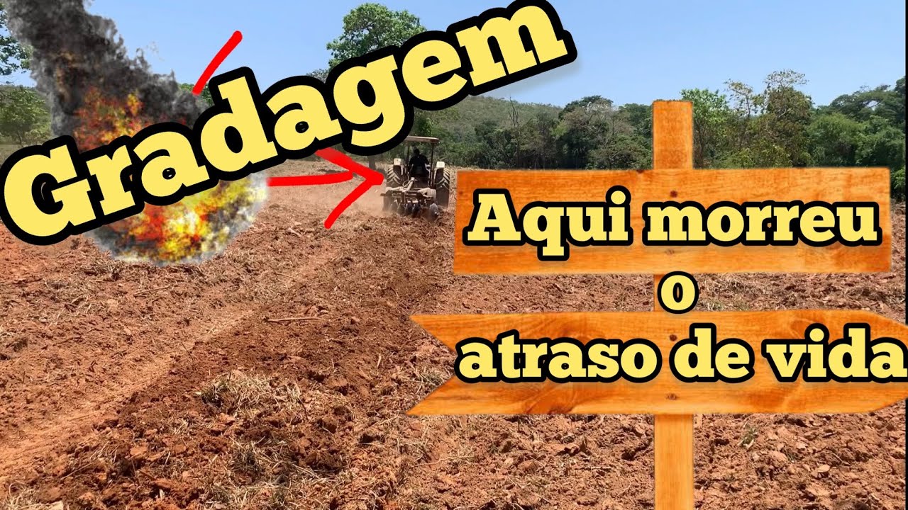 GRADAGEM PARA PLANTIO DO MILHO | PROCESSO DE REESTRUTURA&Ccedil;&Atilde;O DO SOLO DE &Aacute;REA DEGRADA
