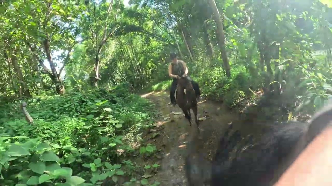 Christy Rides Horses: Southern Spain and Northern Thailand