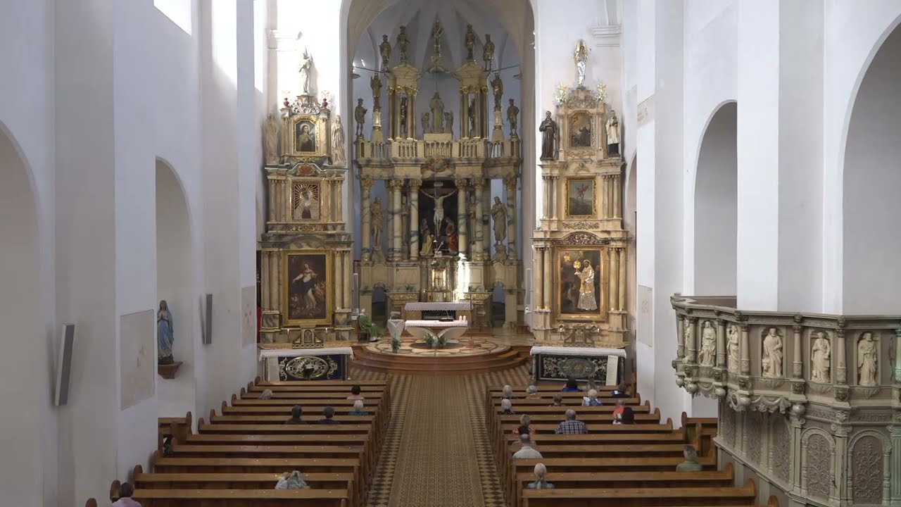 2024-07-09 | XIV eilinė savaitė, antradienis | br. Gediminas Numgaudis OFM |