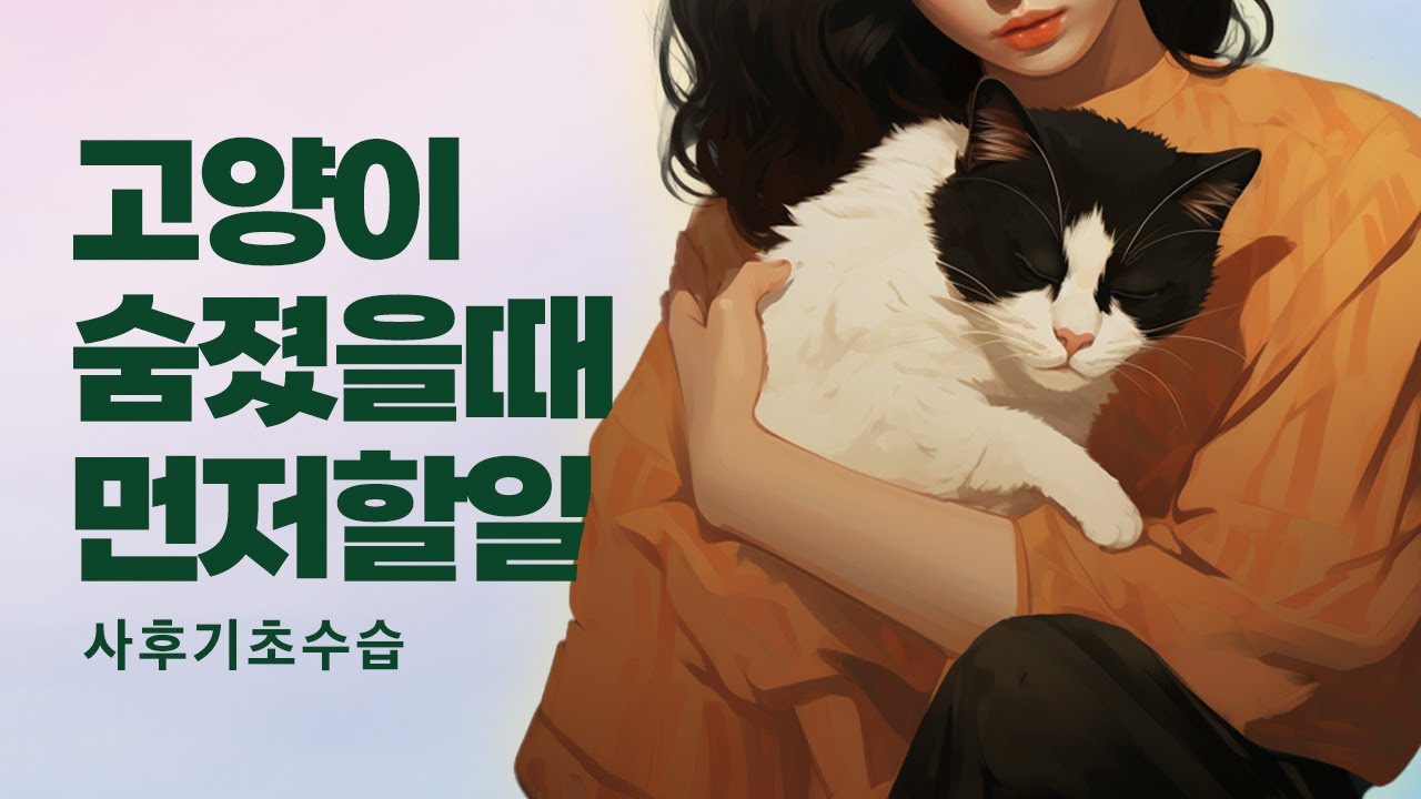 고양이가 죽으면 가장 먼저 해야할 일 - #사후기초수습 #무지개다리