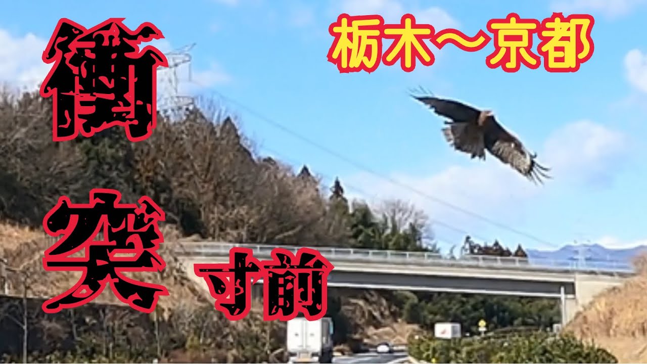 〔ばぁばトラックドライバー〕突然知り合いに会ってプチパニック⁉️ ぶ、ぶつかるかと思った💥💦