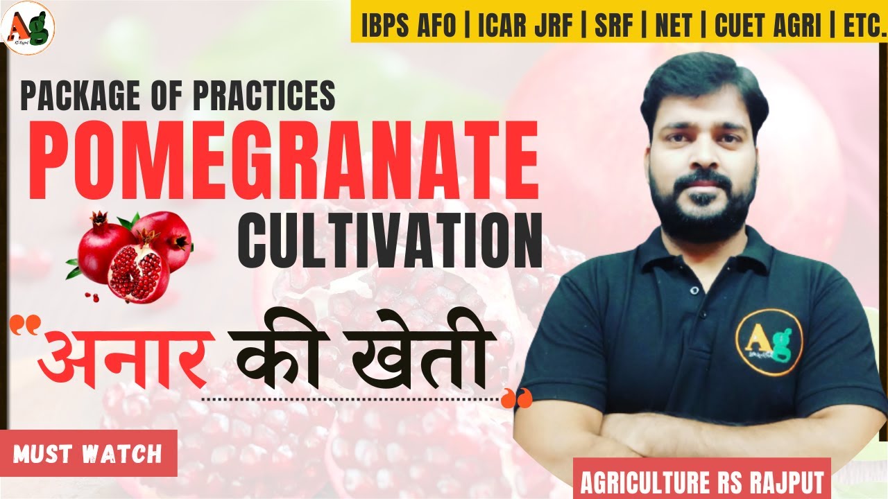 Pomegranate Cultivation | अनार की खेती | Fruit Crops Lectures | Horticulture lectures
