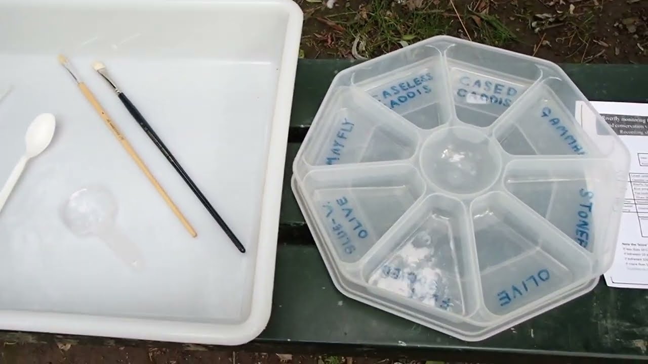 Riverfly Monitoring with the Went ARMI group