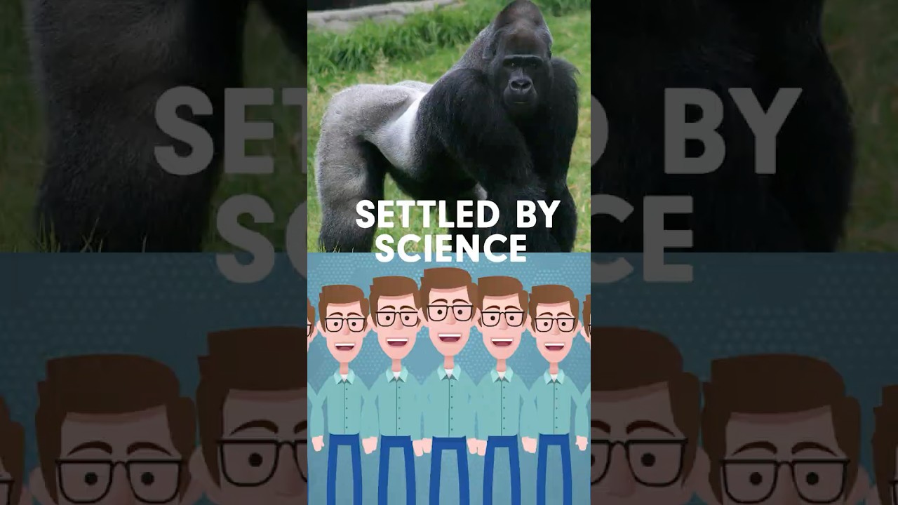 100 Humans vs 1 Gorilla: The DEFINITIVE Scientific Take 🦍