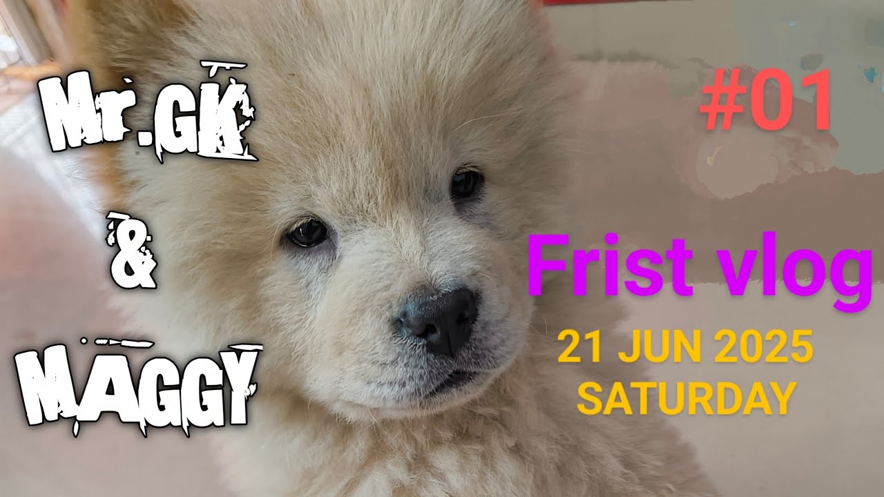 Frist vlog with ___?___//🐻‍❄️🐻‍❄️