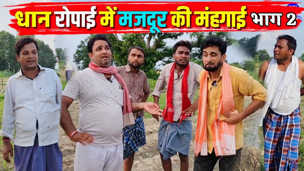 धान रोपाई में मजदूर की मंहगाई भाग 2|| Kishori Kallu Dhelai Pandit Kaka|| Dhaan Ki Ropai