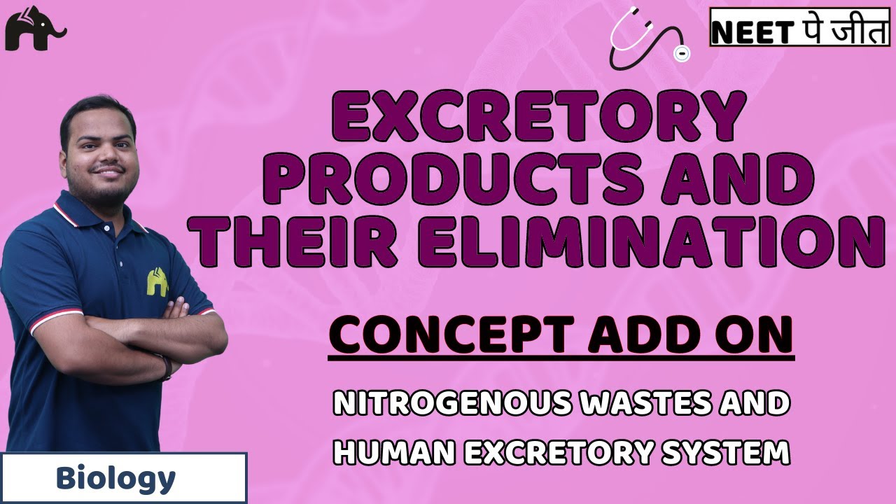 Excretory Products And their Elimination Class 11 NEET - Human Excretory System | Biology