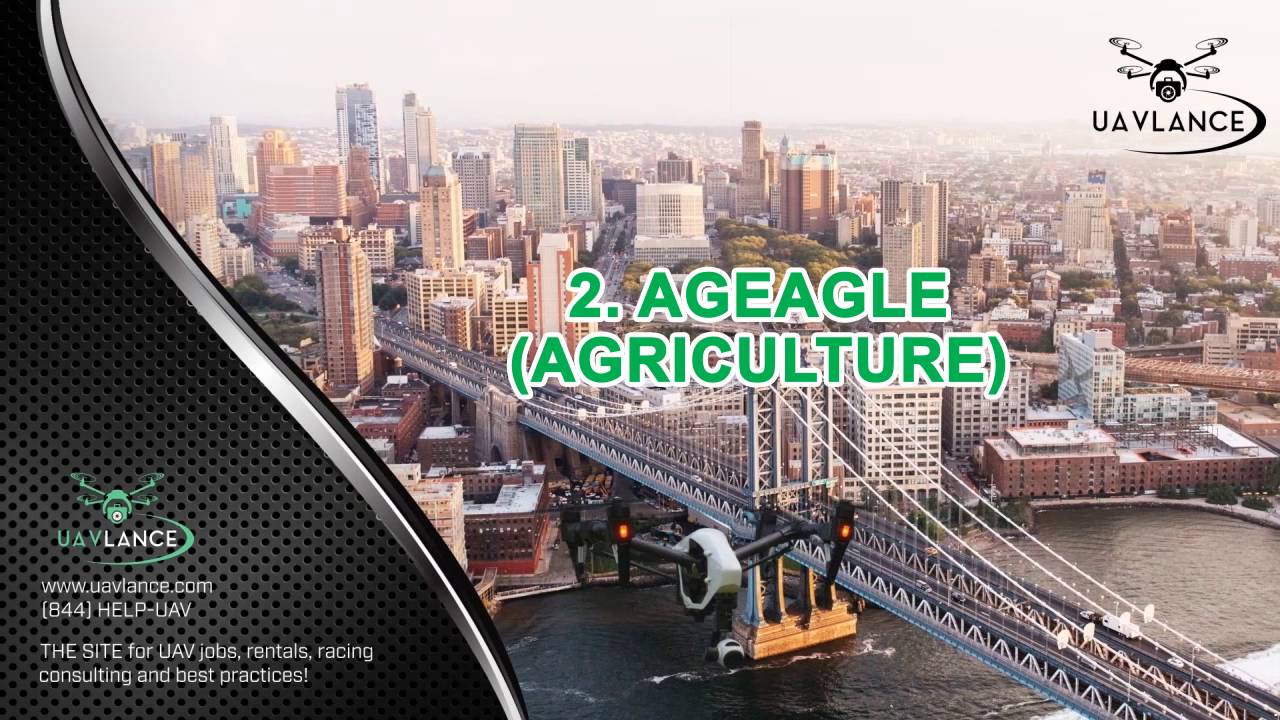 Which Drone is Best for Your Business