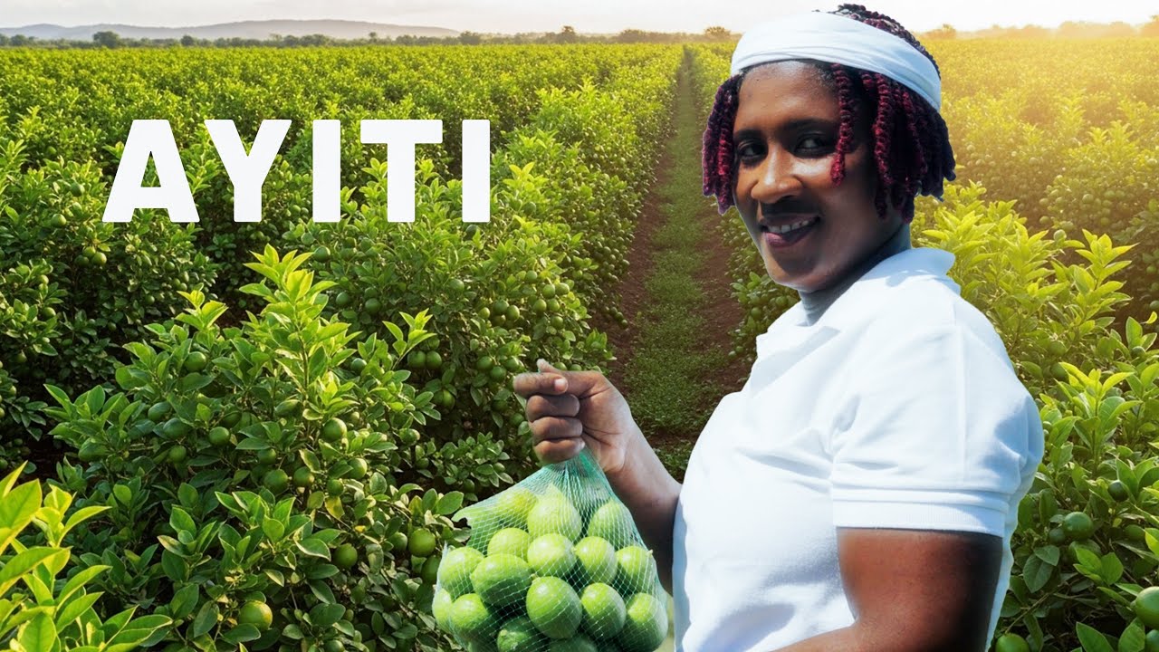 Yon fanm vanyan ki chwazi envesti nan Agrikilti 💯💯👏🏾| jaden Citron 🍋 