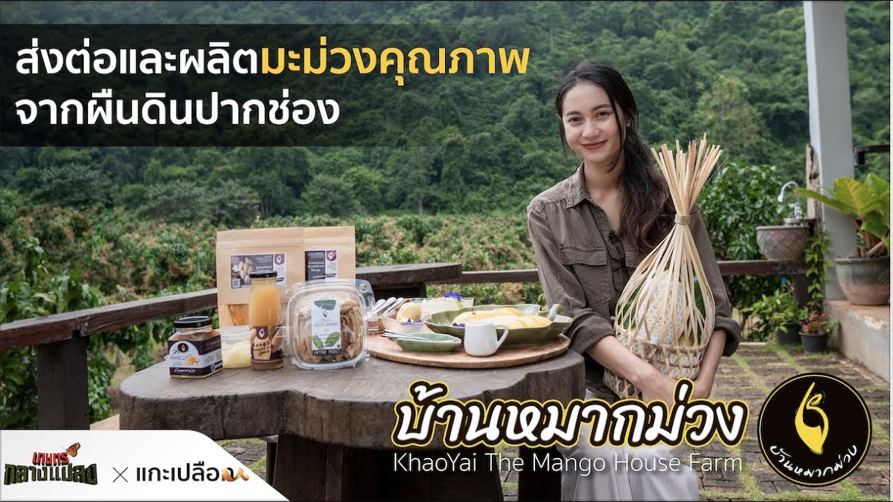 เกษตรกลางแปลงxแกะเปลือก l EP.01 บ้านหมากม่วง KhaoYai The Mango House Farm