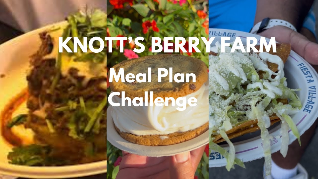 Knott’s Berry Farm Vlog/ Meal Plan Challenge/ Looking for Spooky Farm Decor
