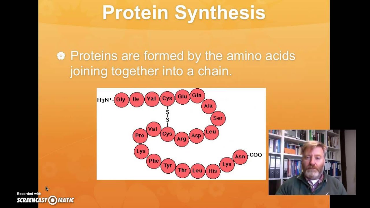Year 9 Natural Science - DNA Structure