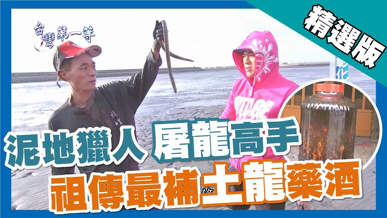 台灣第一等【與土龍泥地搏鬥  祖傳百種藥材土龍藥酒】彰化_精選版