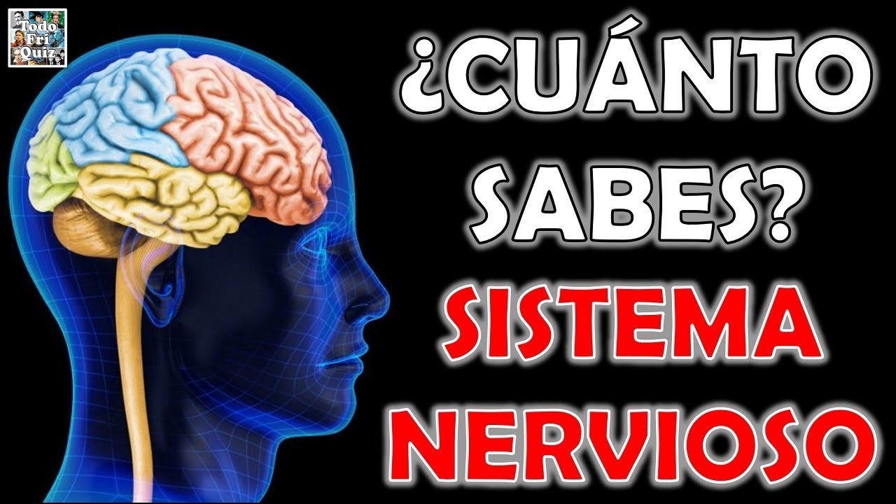 ¿Cuánto Sabes Sobre el 