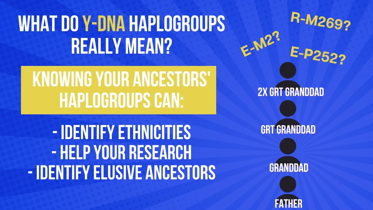 What is a Y-DNA haplogroup? Use yours to identify ethnicities and assist your research.