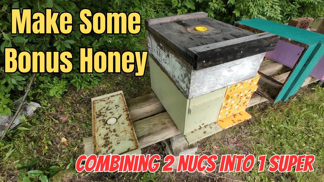 A Great Technique to Pull Some Extra Honey