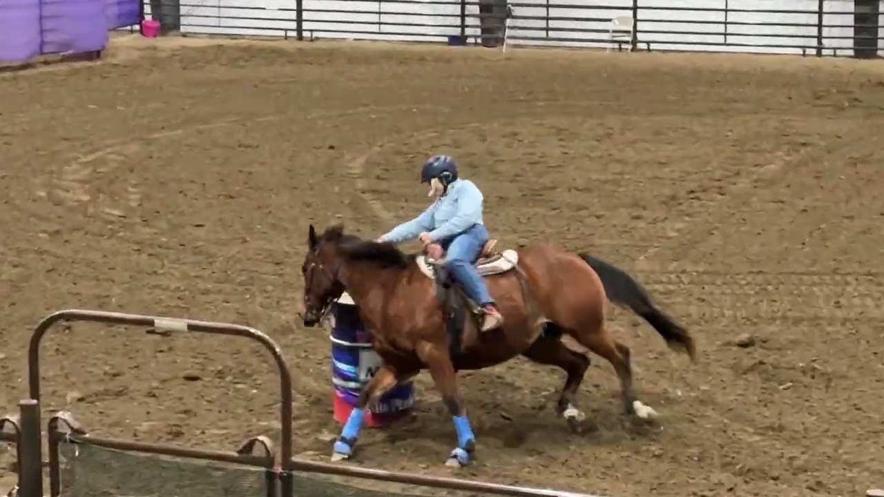 2025-10-31 NBHA state finals - Beth and Reckless