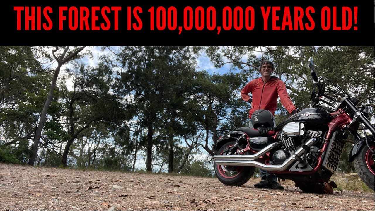 The Oldest Forest in the World! (Paluma NP, Mt Spec Road and Crystal Creek, North Queensland)