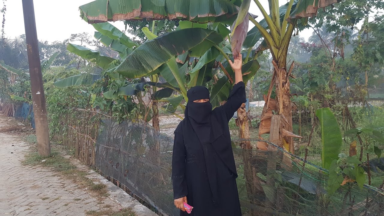 আমরা সবজি বাগান দেখাতে নিয়ে আসলাম 🌱