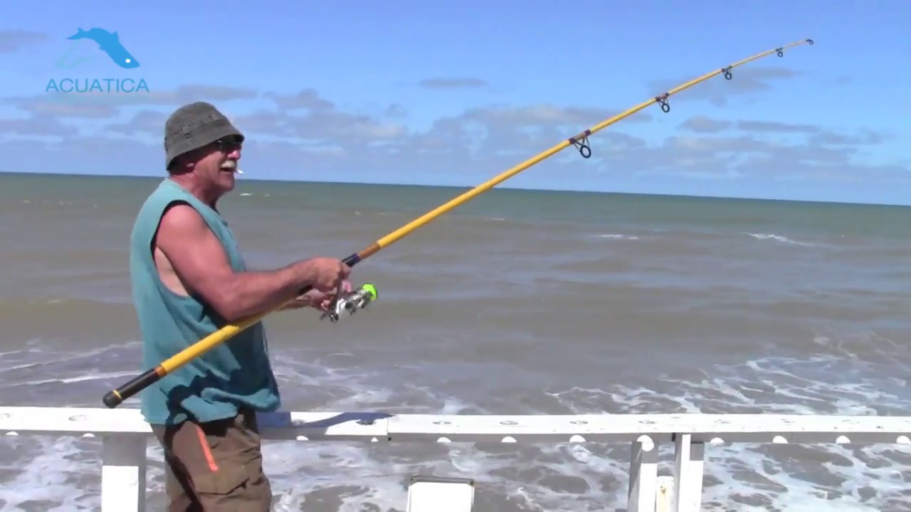 Pesca en el Muelle La Lucila del Mar (20/12/13)
